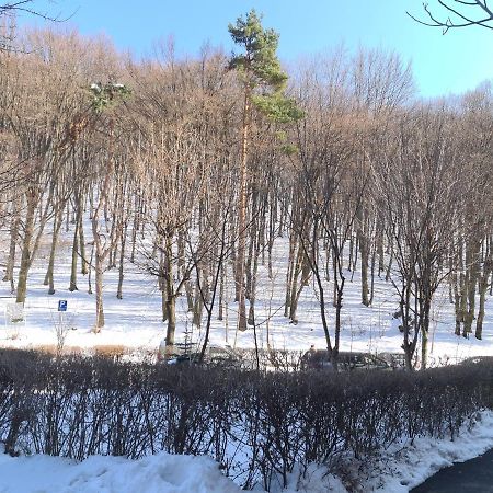 Artstudio Брашов Екстер'єр фото